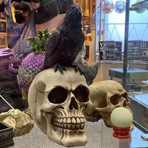 Meet your Posher, Deanna